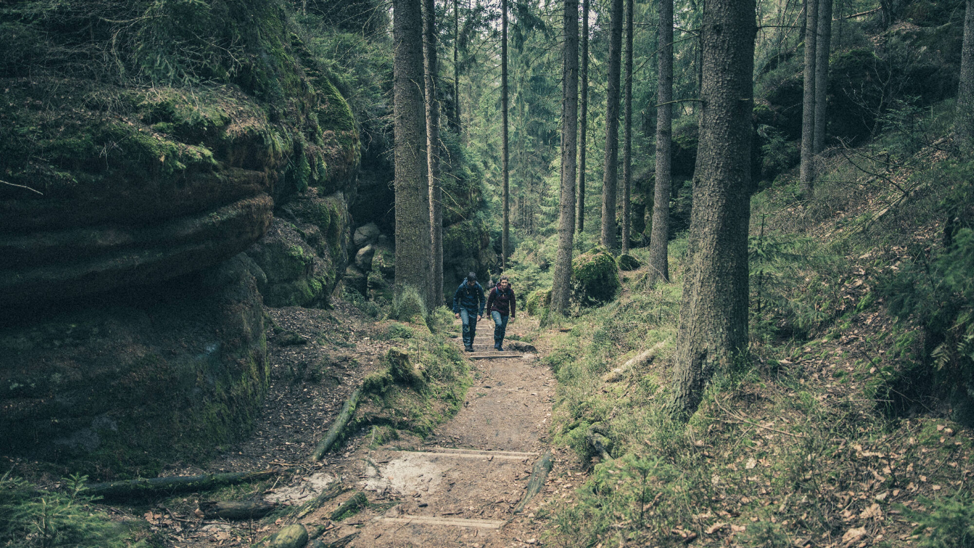 Beim Wandern kommt es auf das richtige Schuhwerk an
