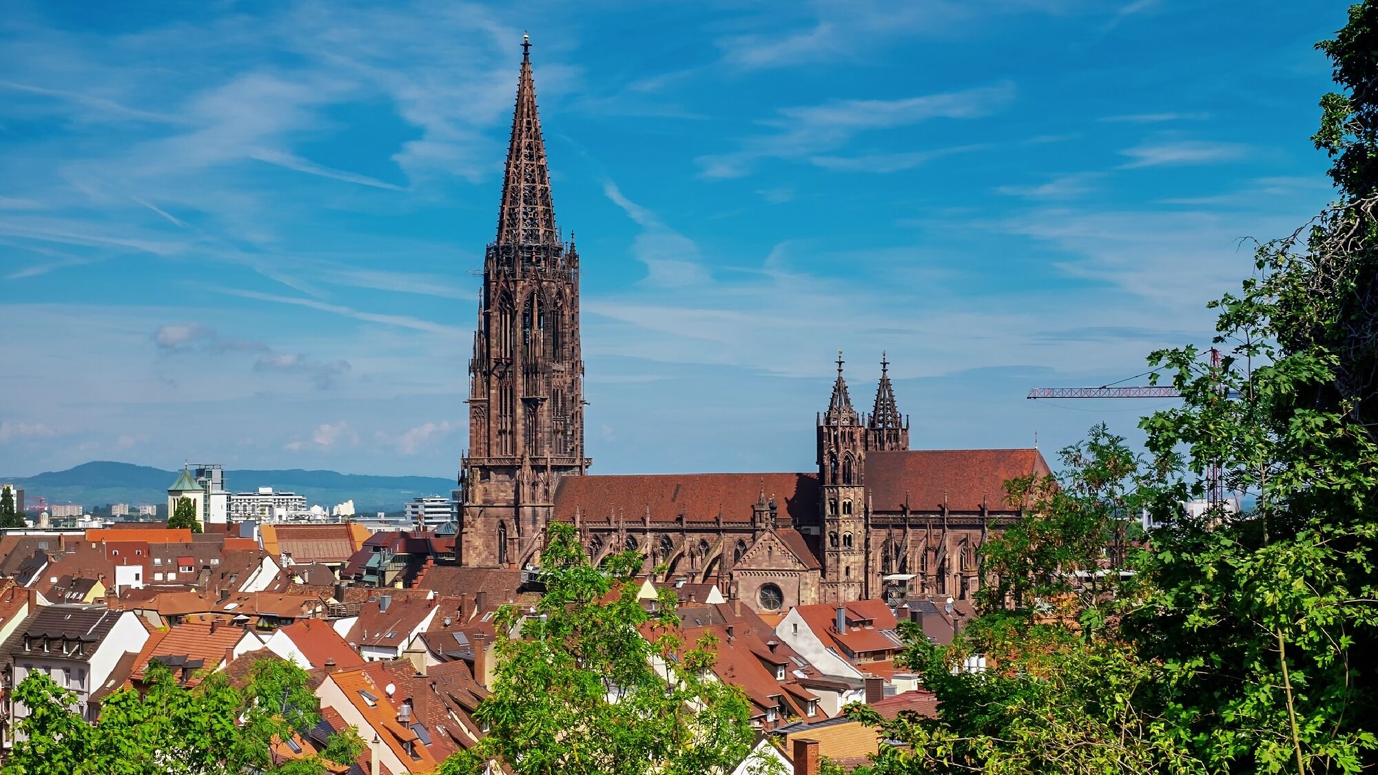 Blick auf das Münster in Freiburg