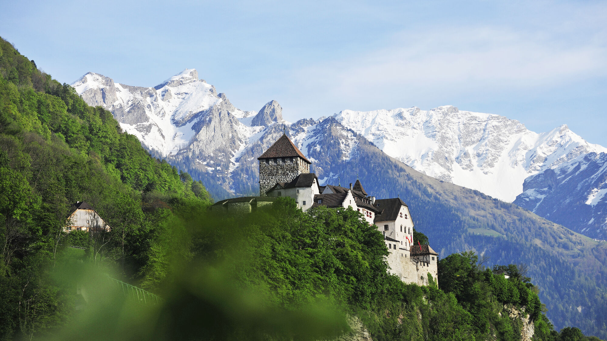 Aussicht auf das Schloss Vaduz