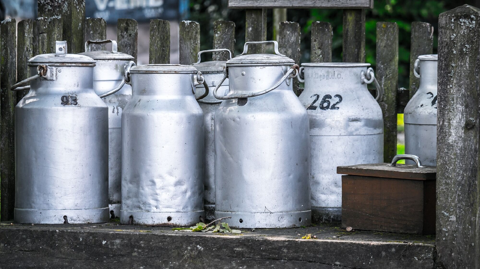 Milchkannen