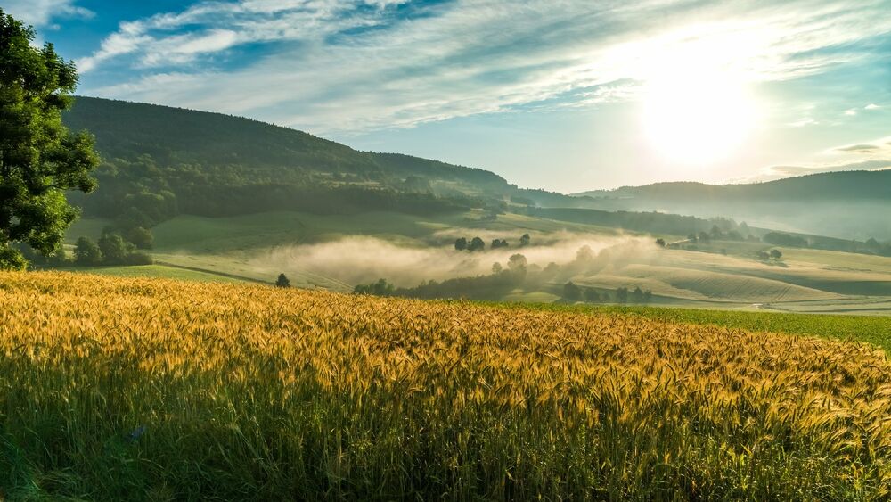 Die schönsten Weitwanderwege in Deutschland