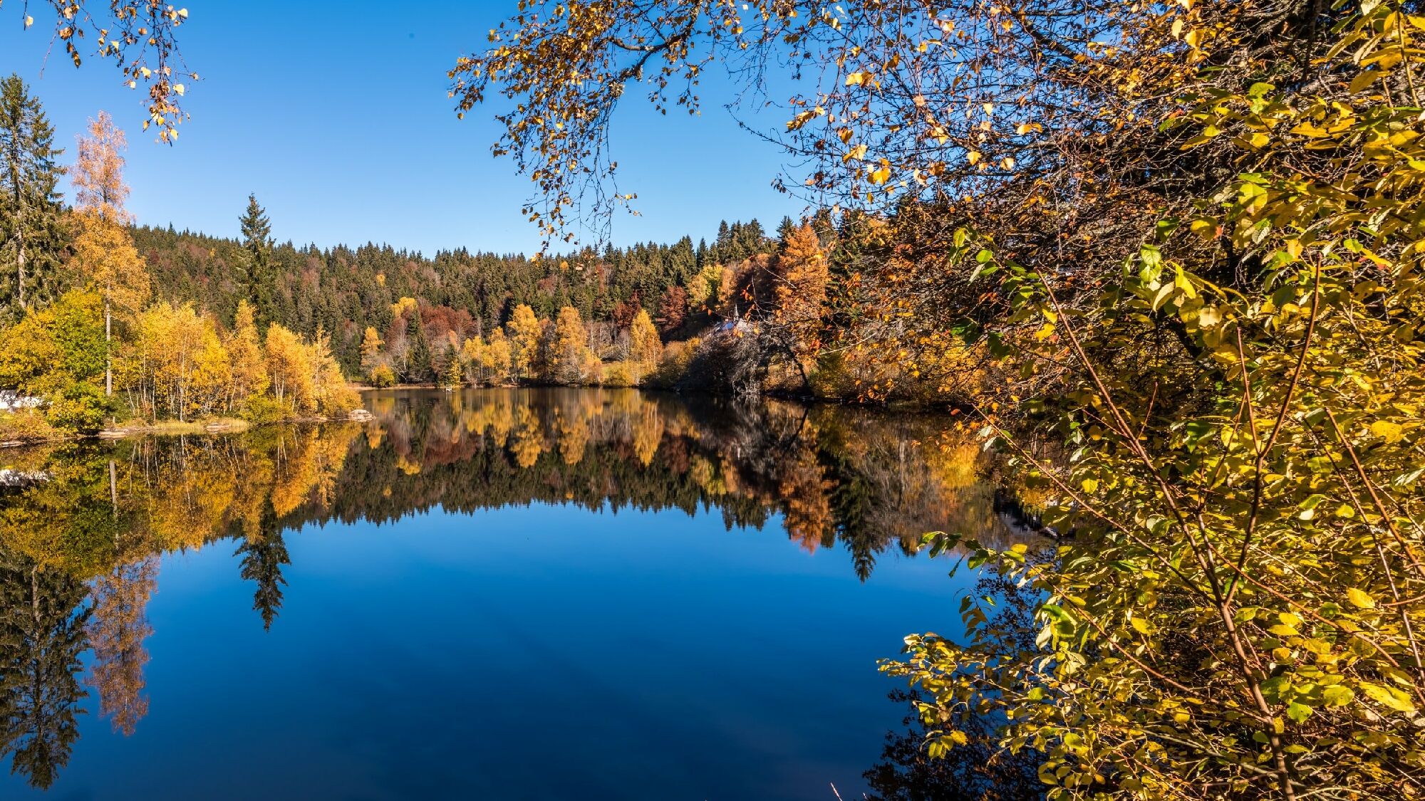 Schluchtensteig Schwarzwald ETappe 5