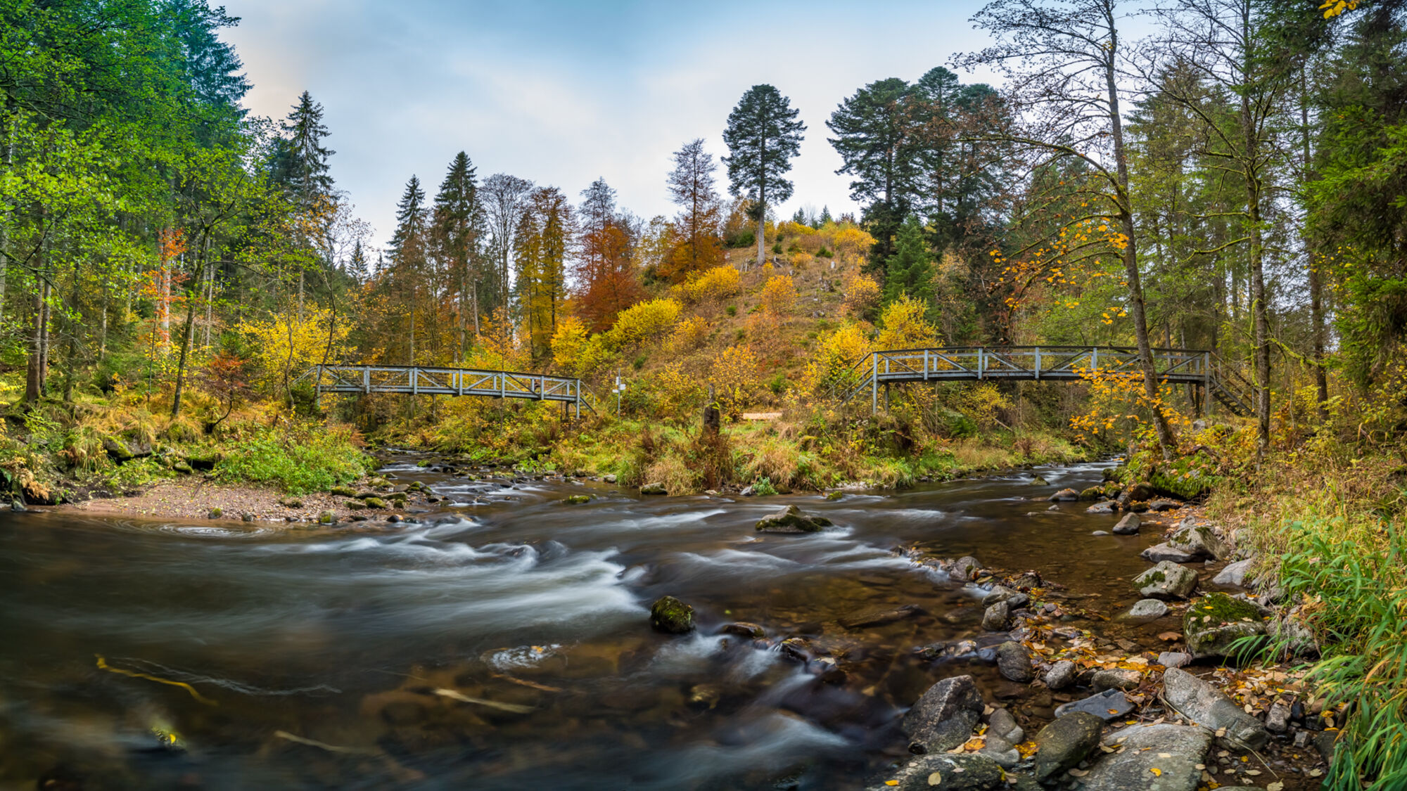 Schluchtensteig Schwarzwald
