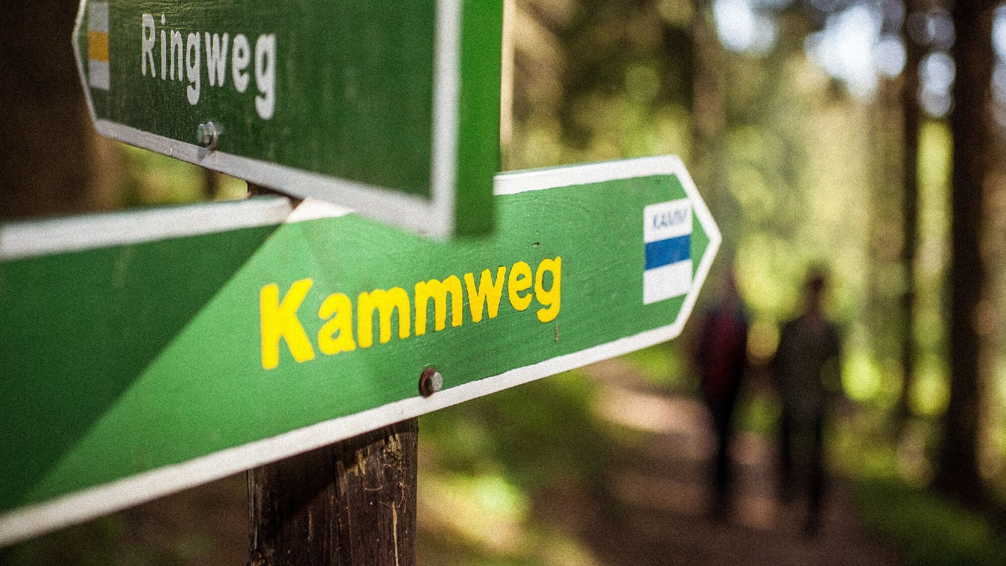 Unterwegs auf dem Qualitätswanderweg Kammweg 