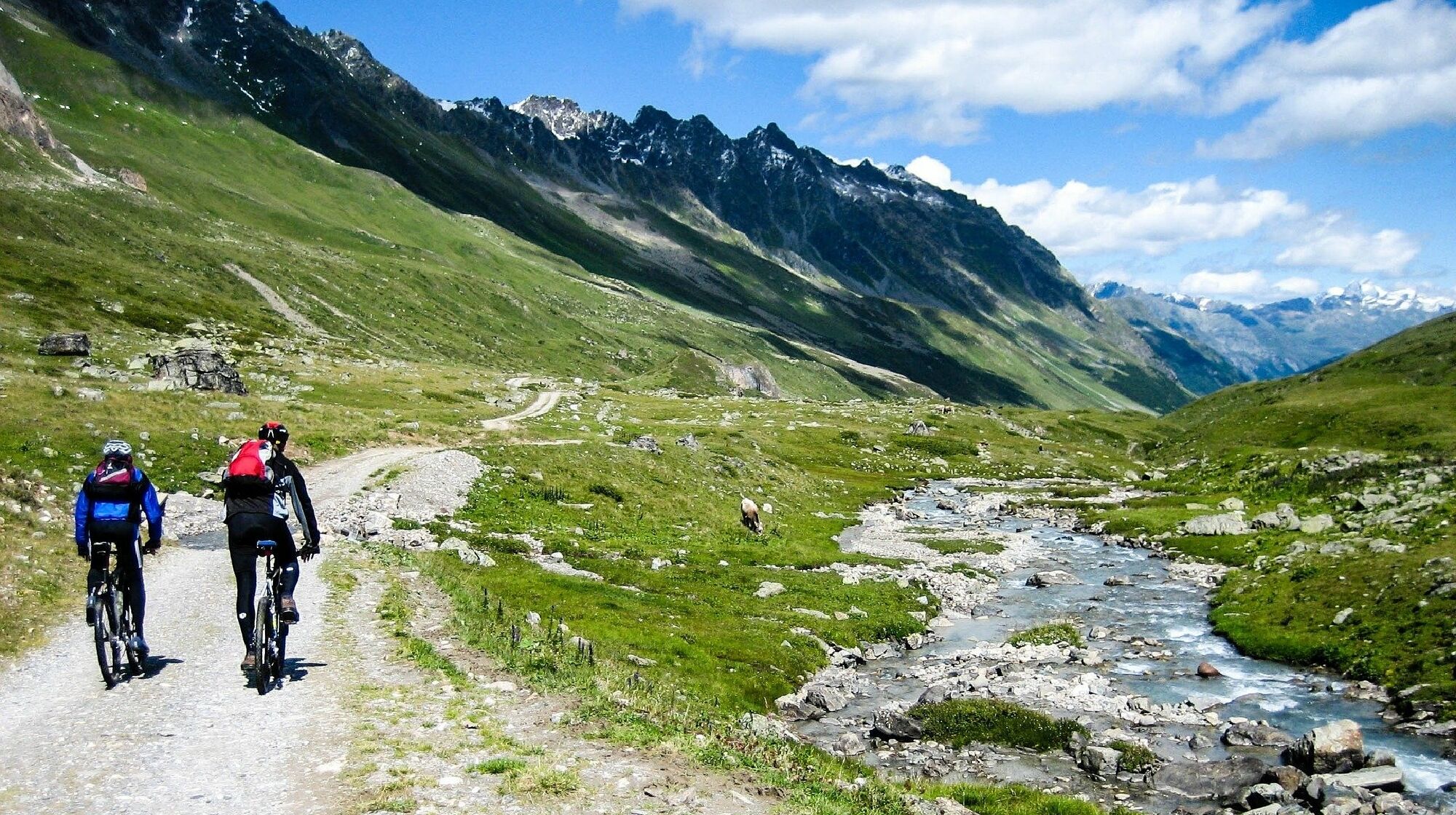 Mit dem Mountainbike über die Alpen