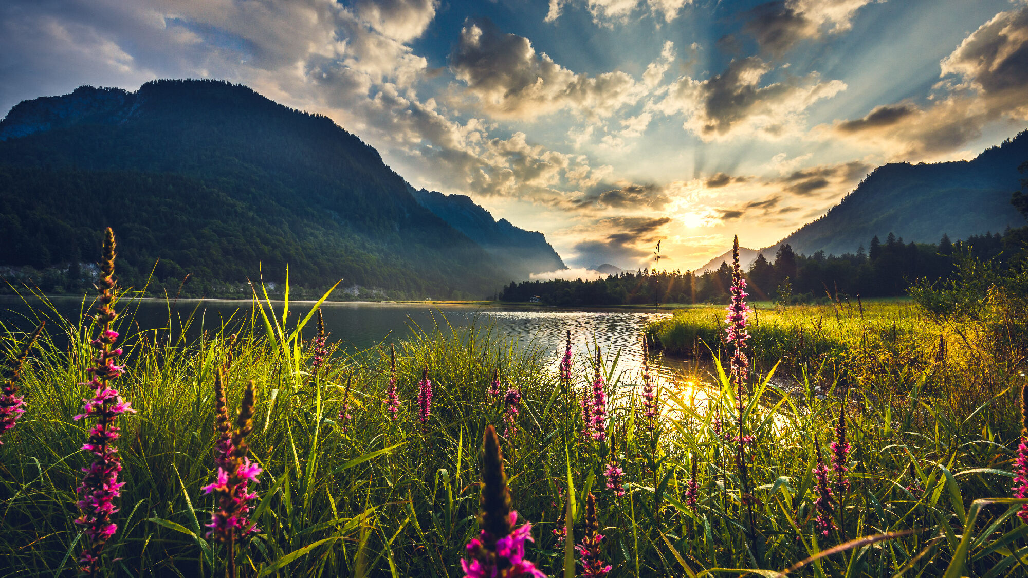 Traumhafte Landschaft im Chiemgau