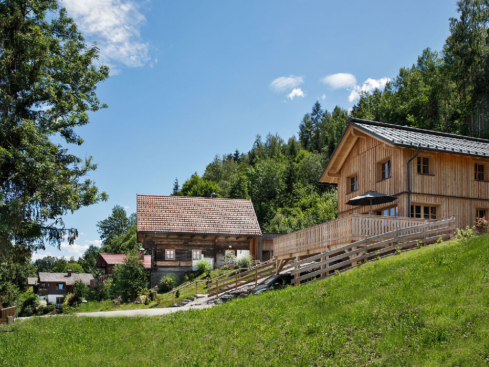 Blick auf die Ferienhäuser Gerhart im Ennstal