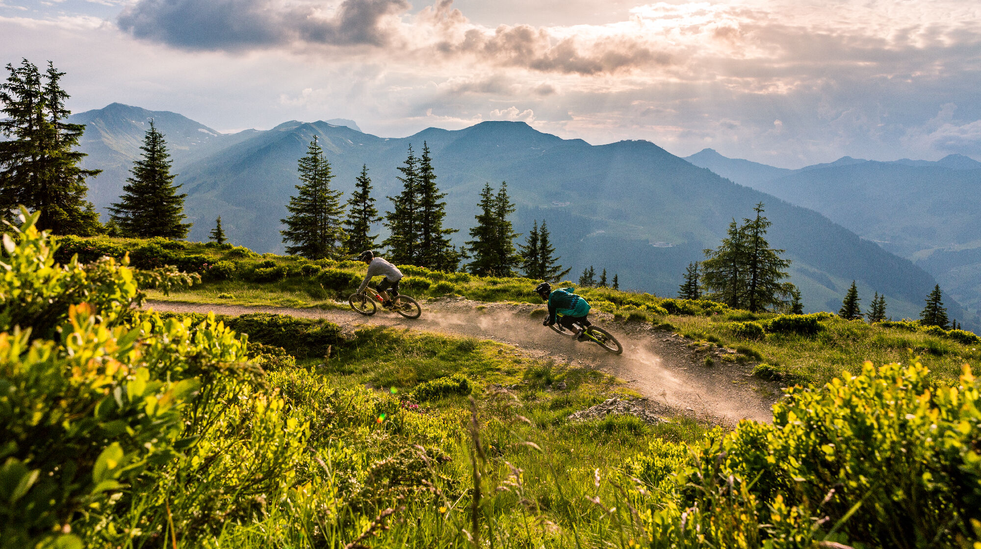 Auf dem Hacklbergtrail