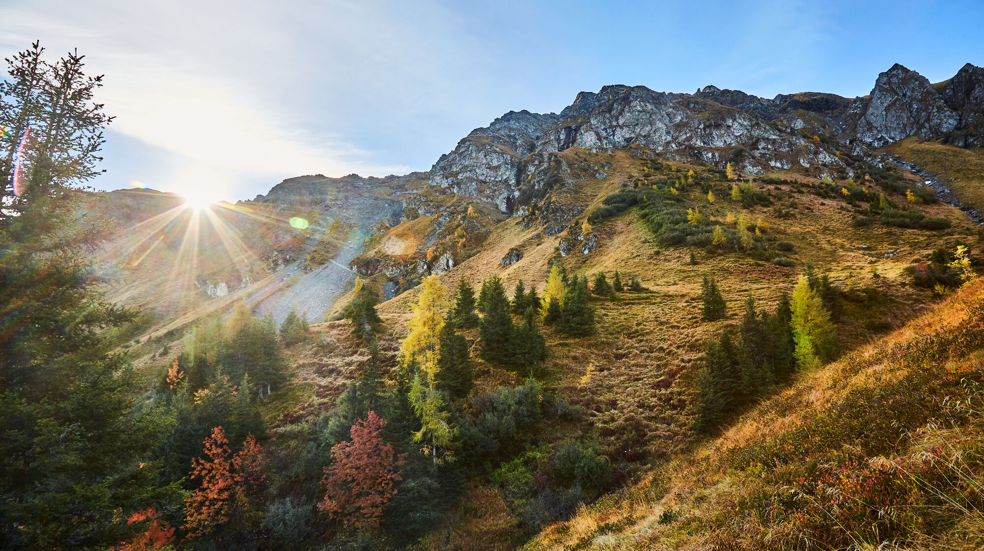 Home of Lässig Walk