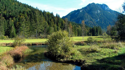 Ober- und unterirdisch sprudeln die Ammerquellen.
