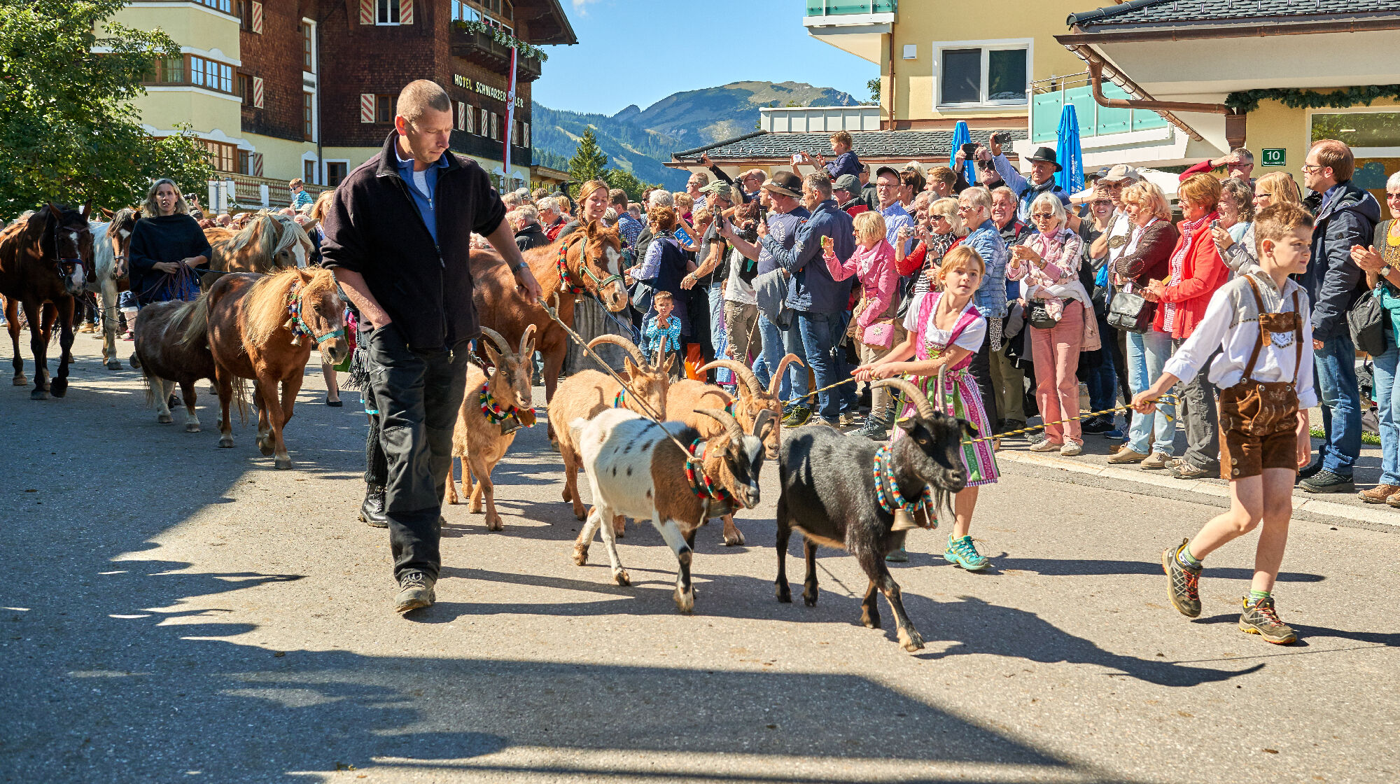 Auch Ziegen sind Teil mancher Almabtriebe
