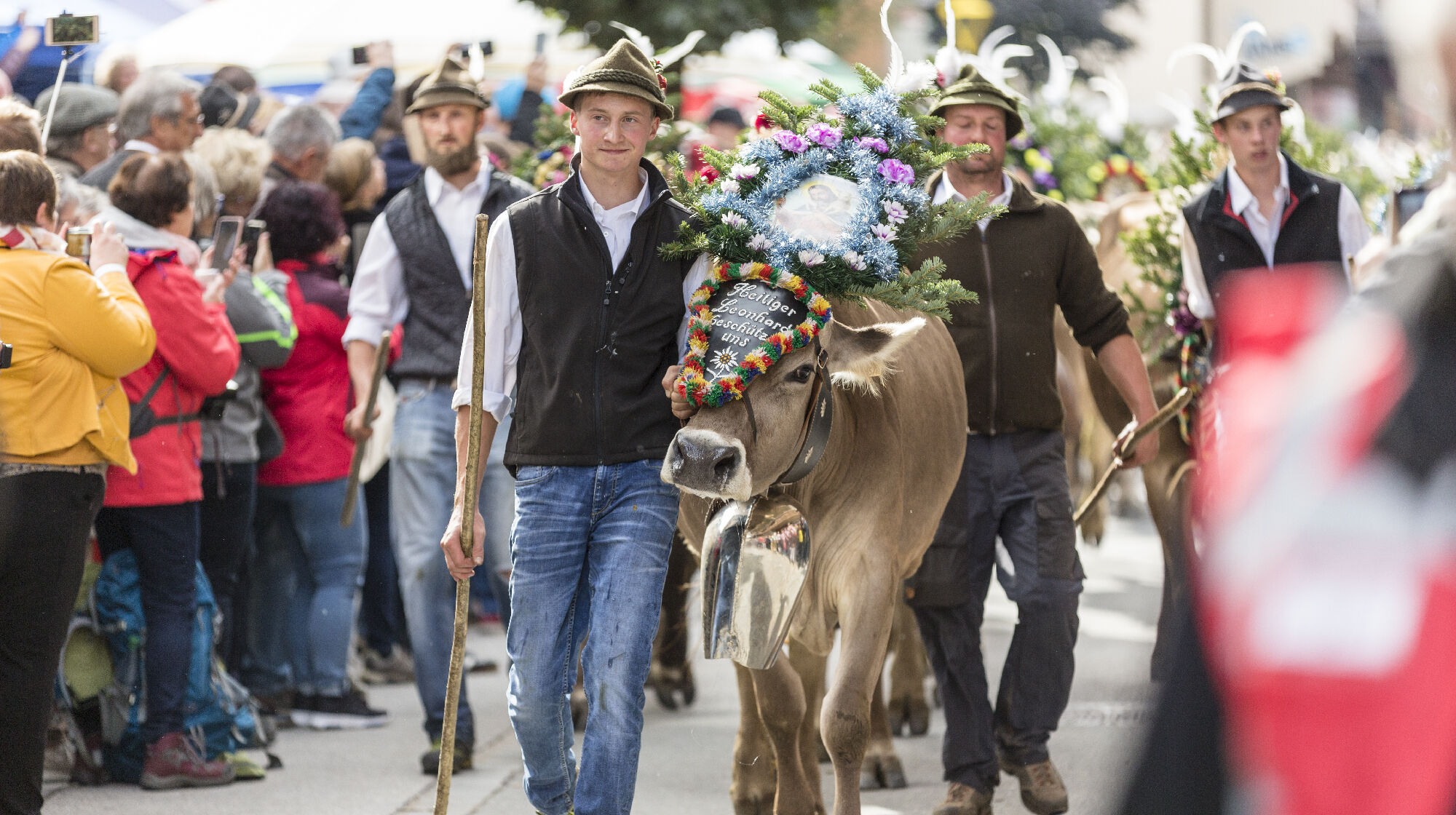 Almabtrieb im Zillertal