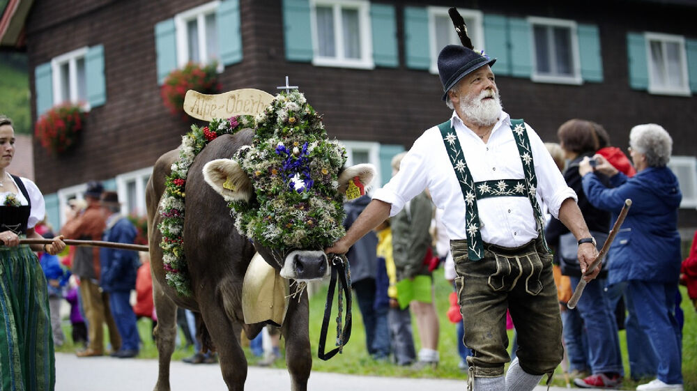 Almabtrieb im Allgäu