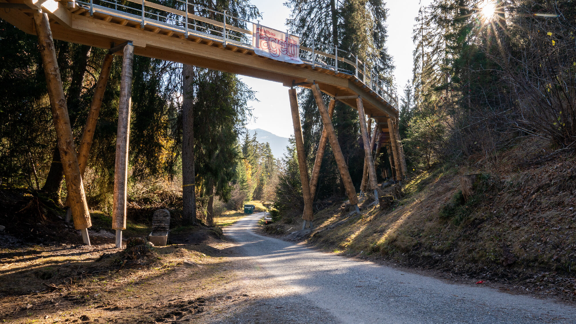 Bis zu 28 m hoch verläuft der Baumwipfelpfad in Laax