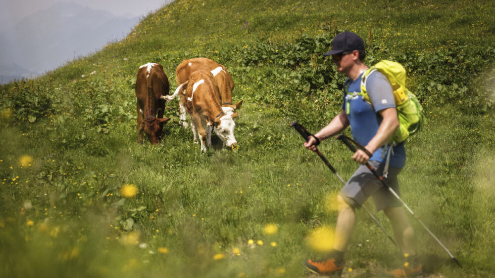 Auch Wanderfans kamen bei der 51. Auflage des Ebbser Koasamarsch auf ihre Kosten.