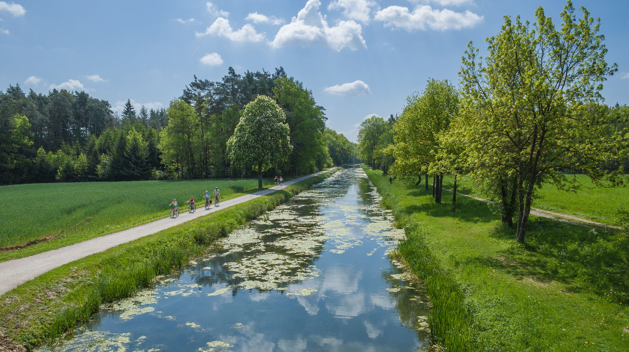 Am Wasser entlang führt der Radweg Ludwig-Donau-Main-Kanal