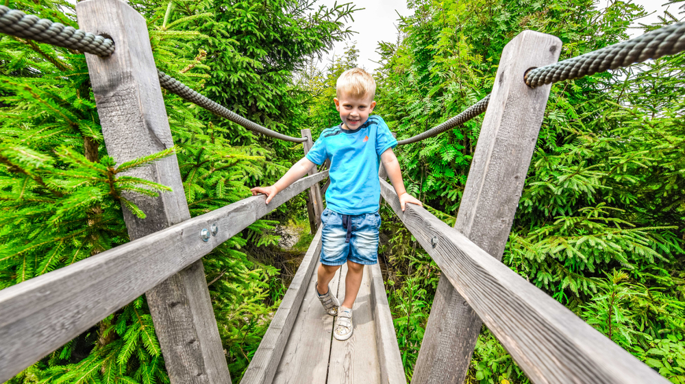 Kyrillpfad in Willingen