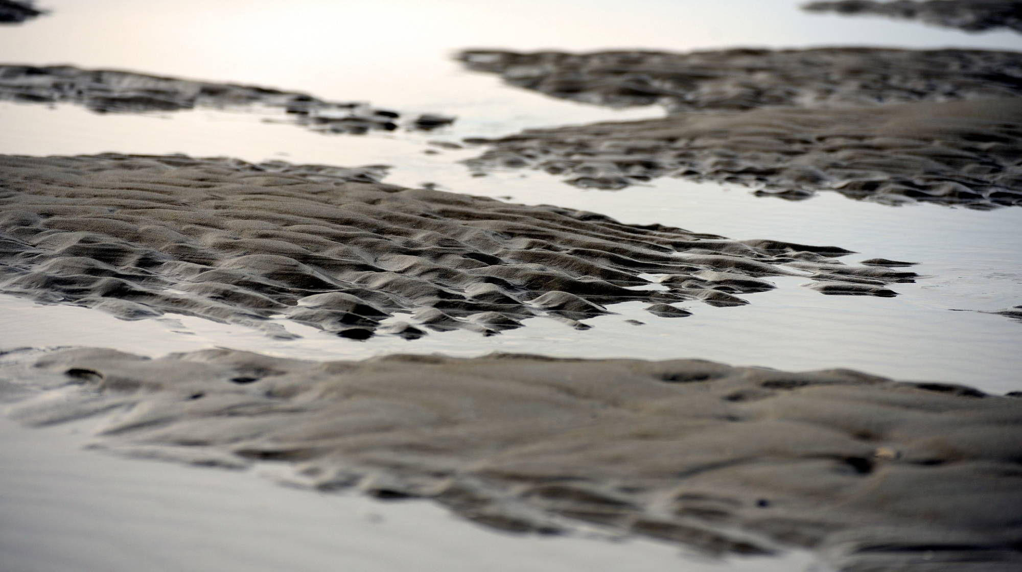 Die Bestandteile des Meers werden in der Thalasso-Therapie verwendet.