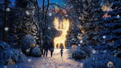 Seit kurzem sind Ticktes für LUMAGICA Innsbruck online erhältlich