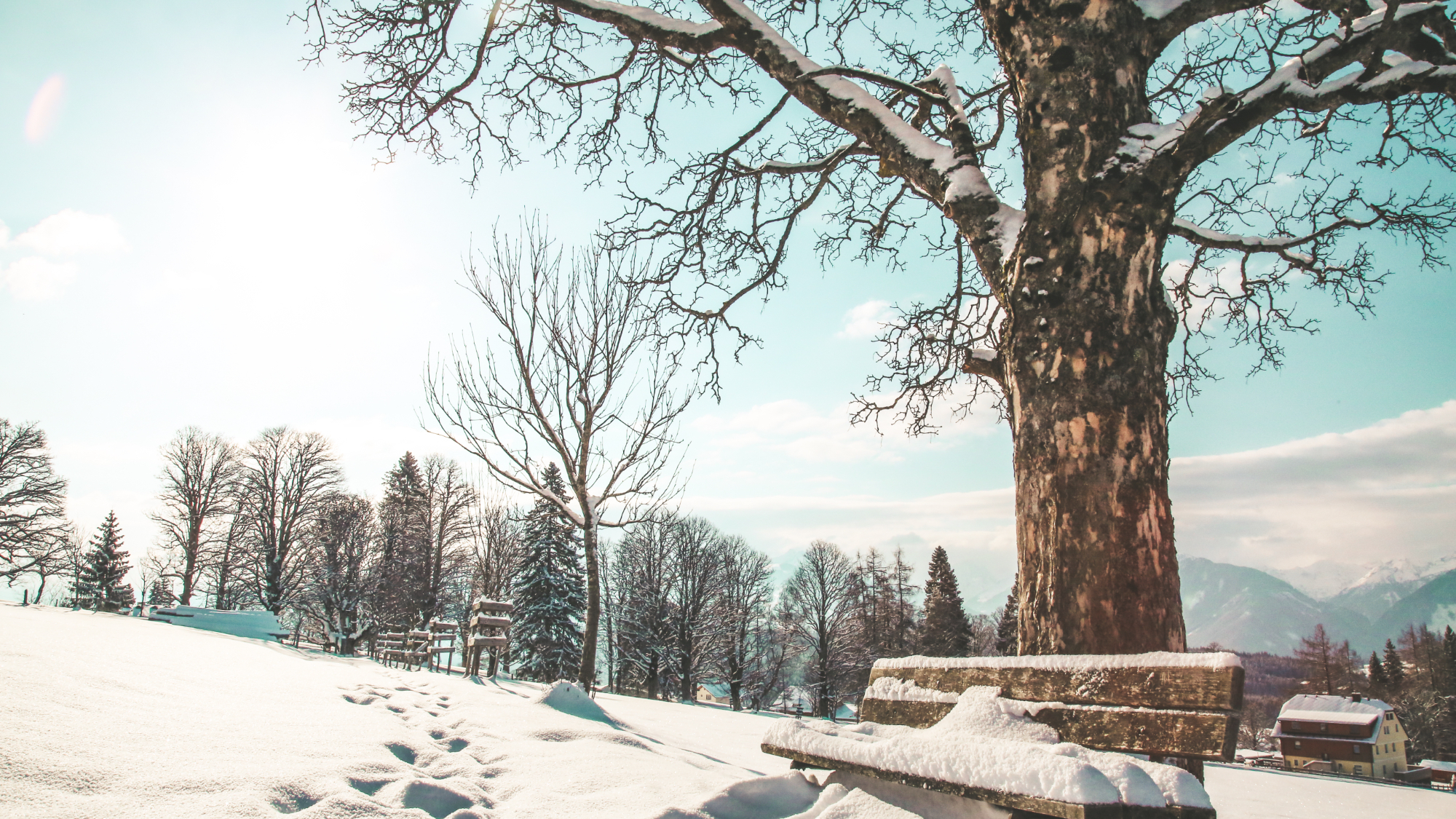 Winterwandern im Winterdorf Ramsau