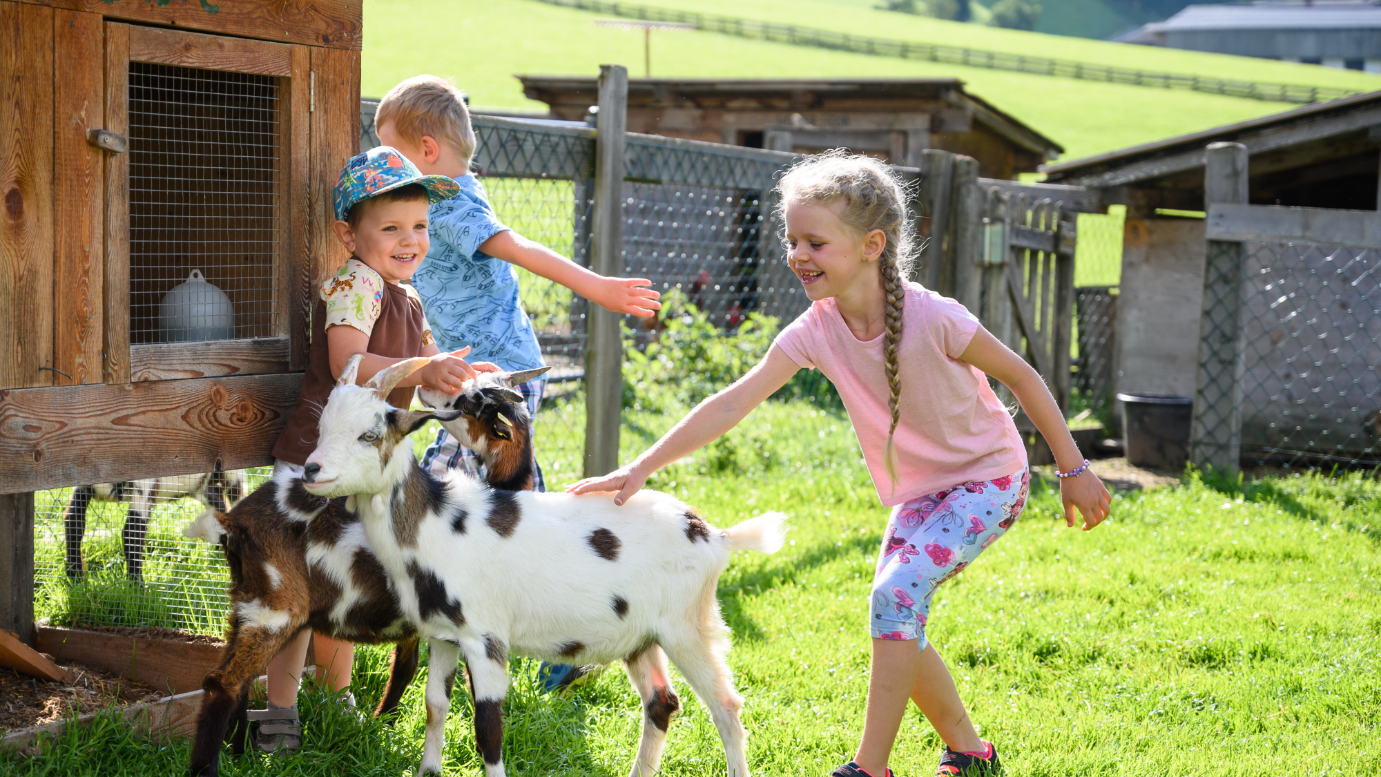 Tiere hautnah erleben