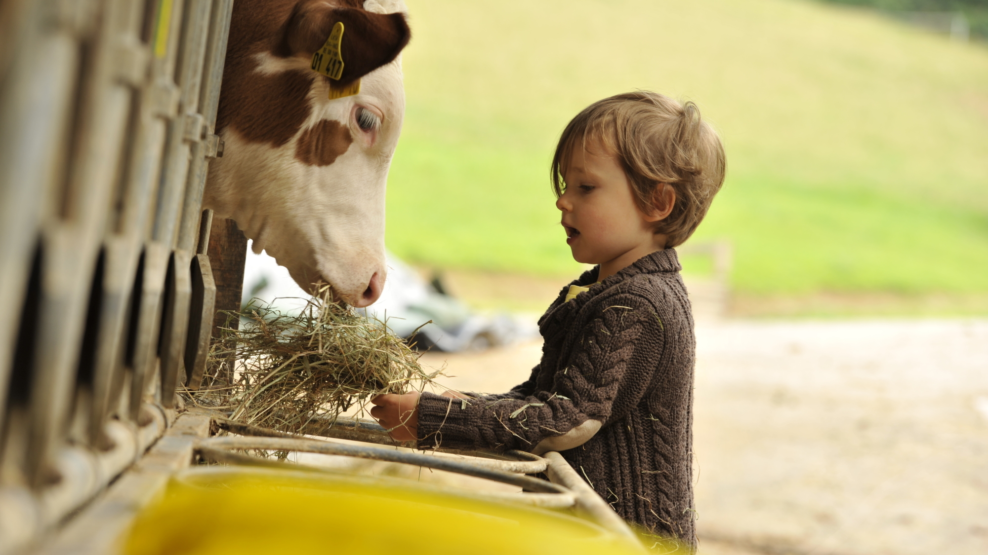 Kind auf dem Bauernhof