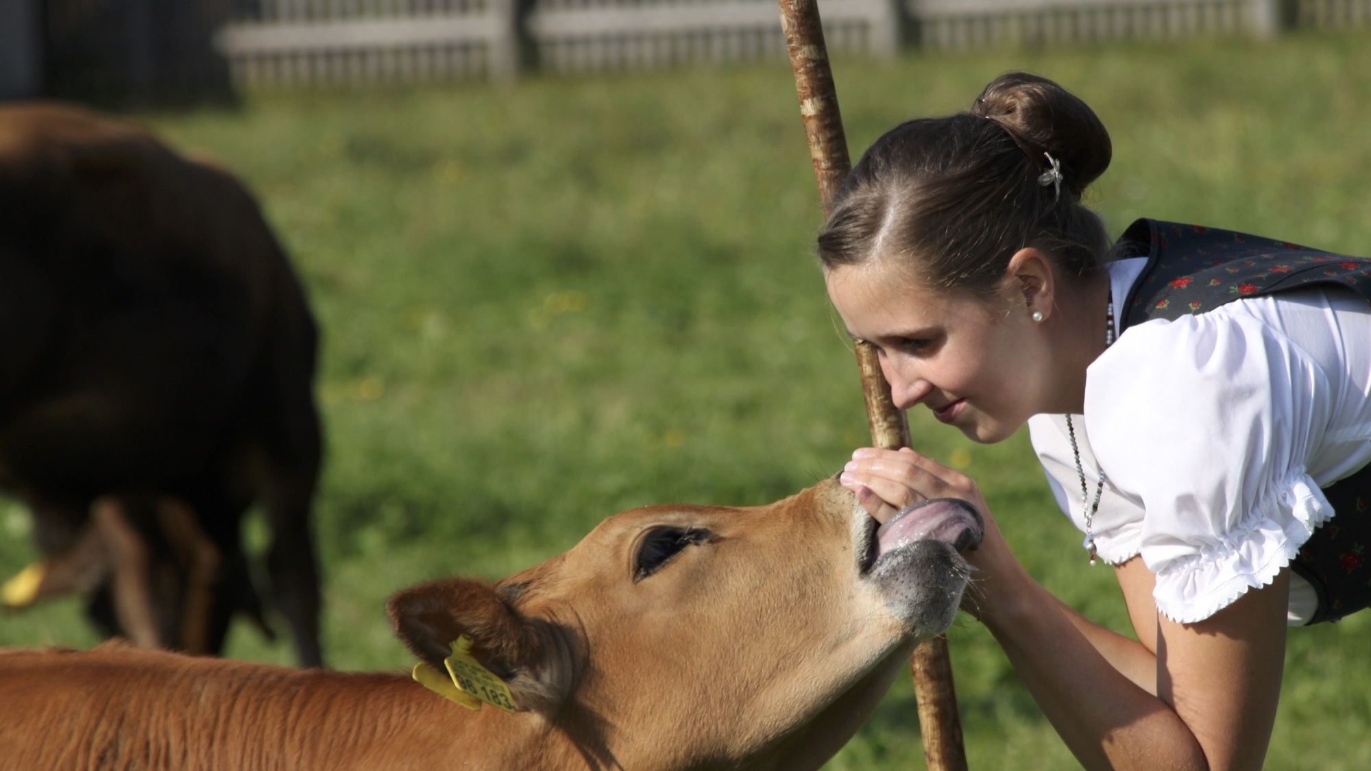 Die Liebe zu den Tieren ist für viele Bauern das A und O