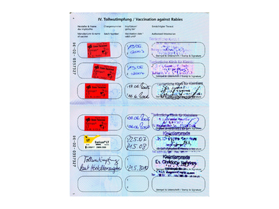 Nachweis über Tollwutimpfung