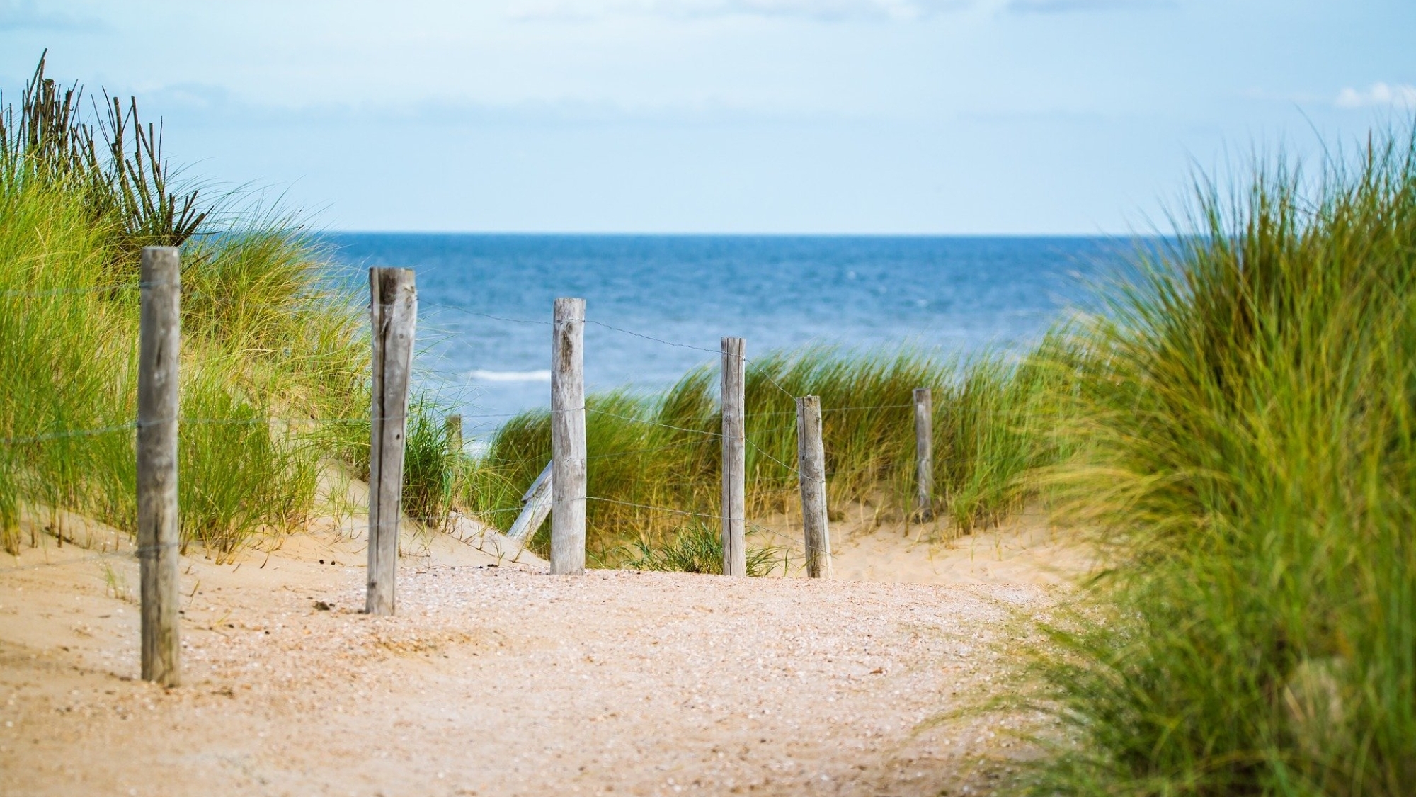 Urlaub am Meer - eine gute Alternative für Hundebesitzer