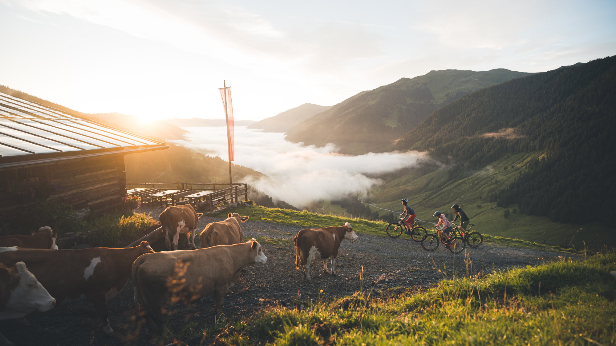 Mountainbiken in Saalbach