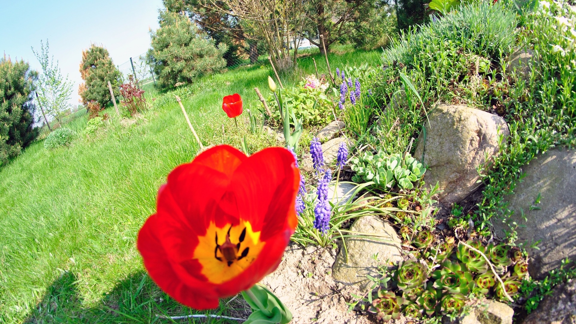 Ein eigener Garten ist Urlaub zuhause