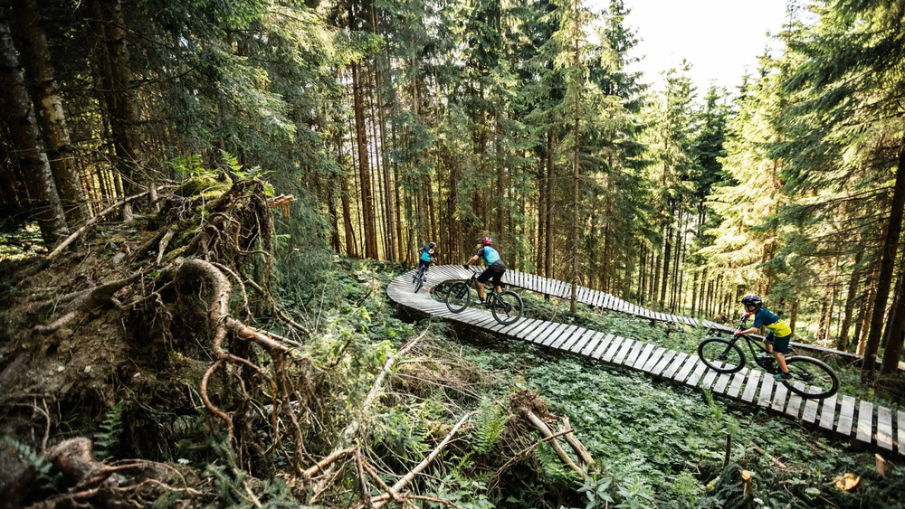 Singletrail Harschbichl