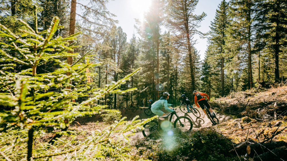 Der Hochzeiger Family Trail führt durch schöne Natur, unter anderem dem Zirbenwald.