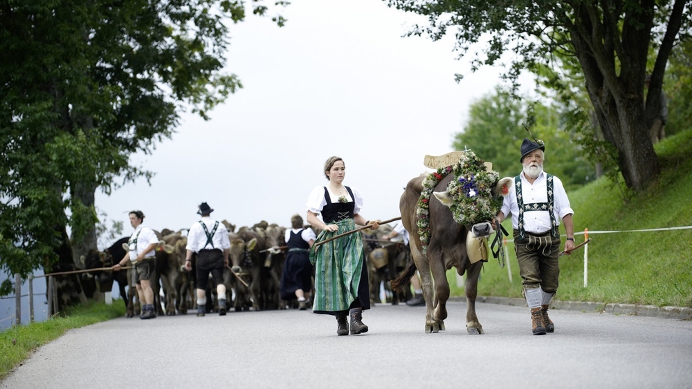 Viehscheid in Oberstaufen