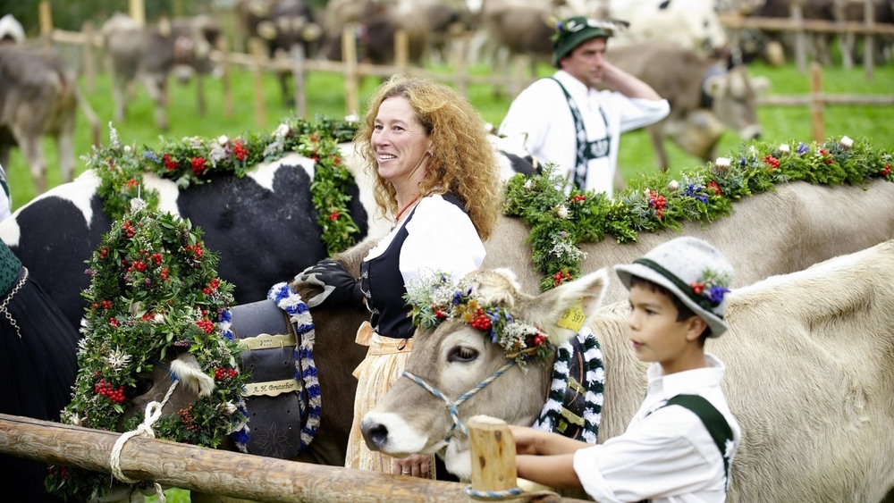 Viehscheid in Oberstaufen
