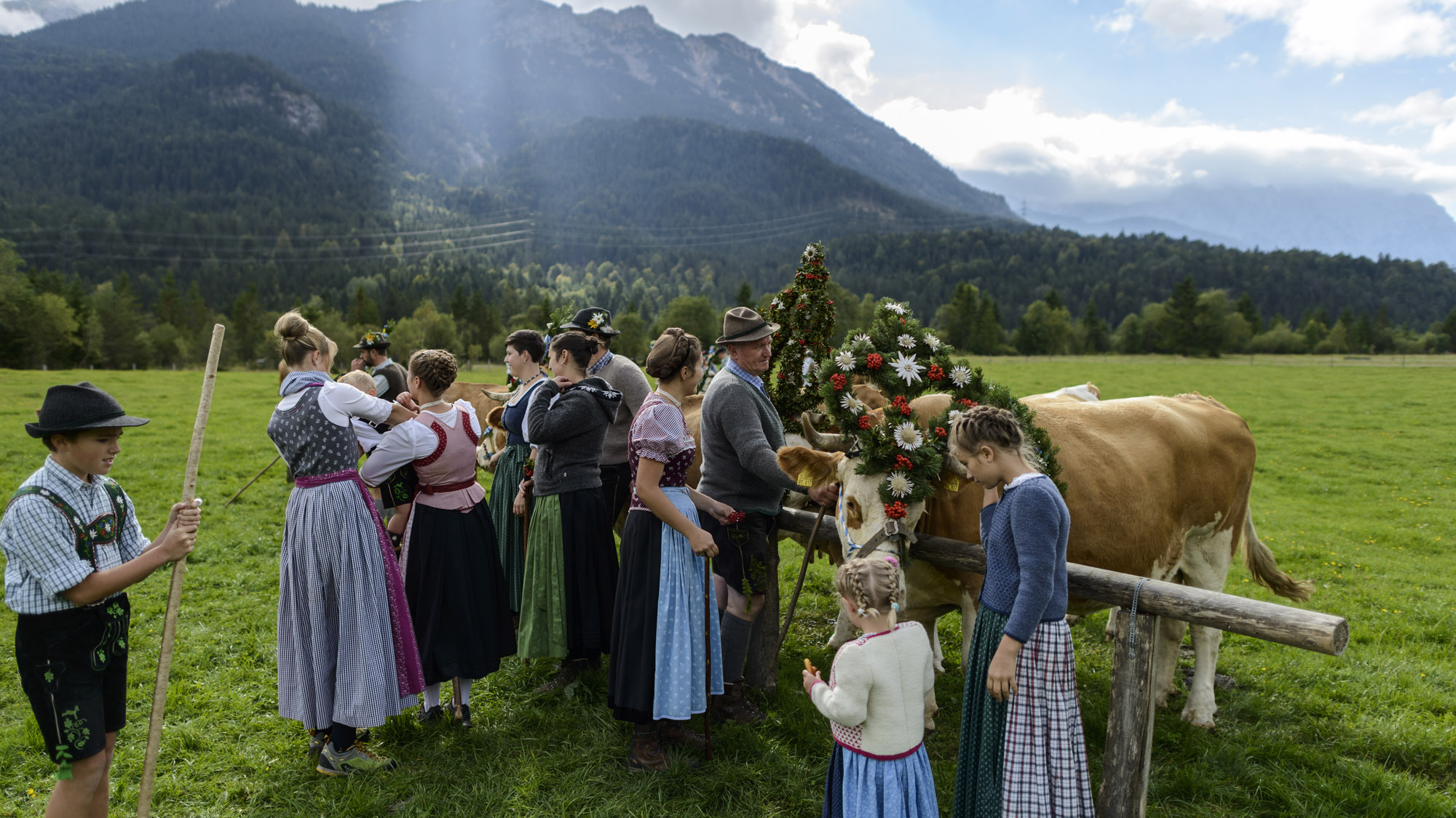 Almabtrieb in der Zugspitz Region