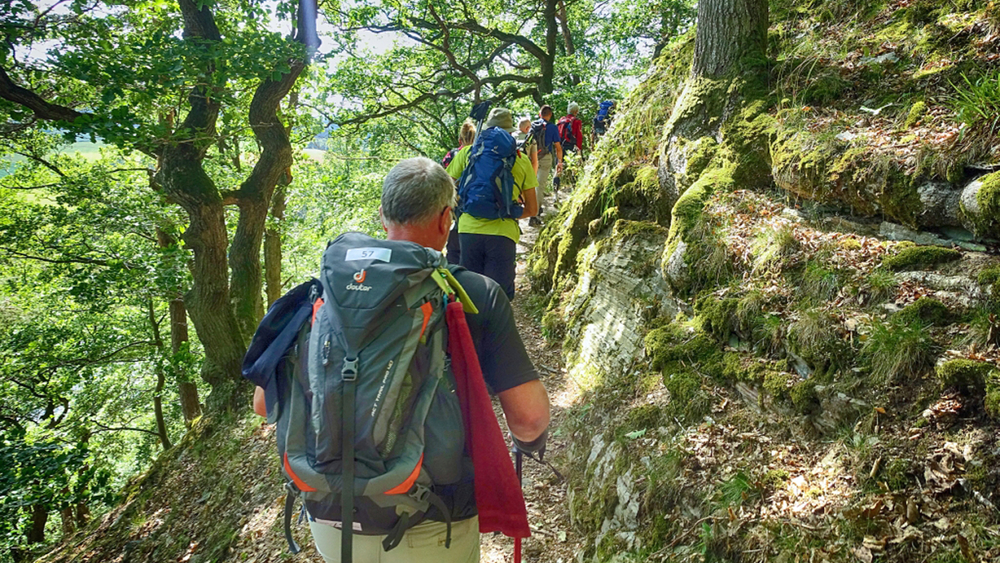 Beim Ultrawandern bei Willingen erlebt man eine landschaftliche Vielfalt.