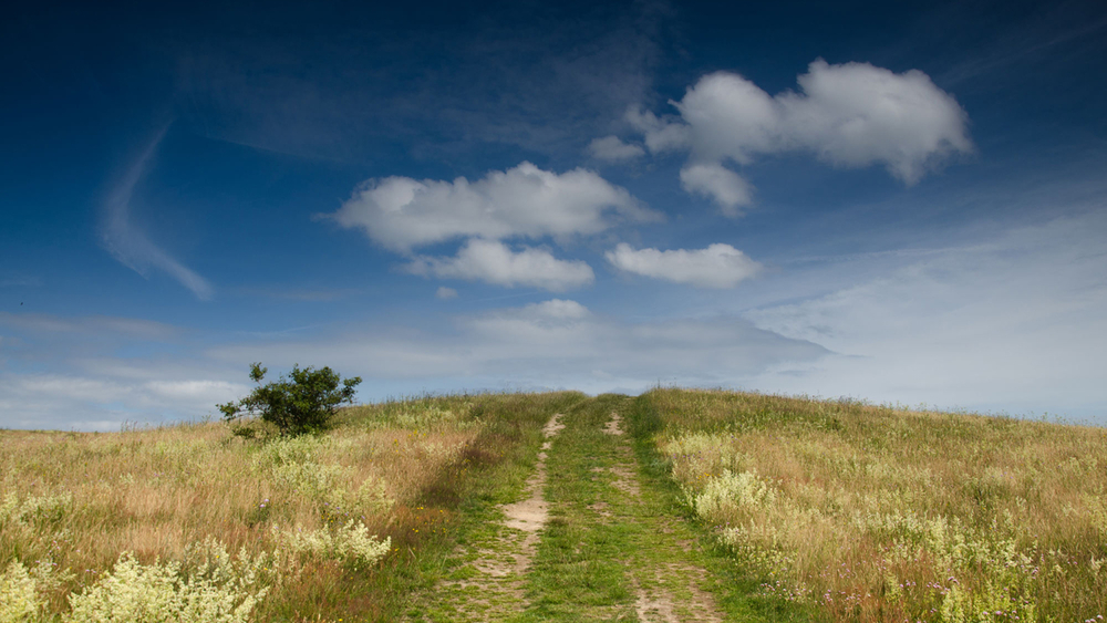 Der Deutsche Wetterdienst gibt in Bezug auf die Klimaentwicklung eine düstere Prognose ab