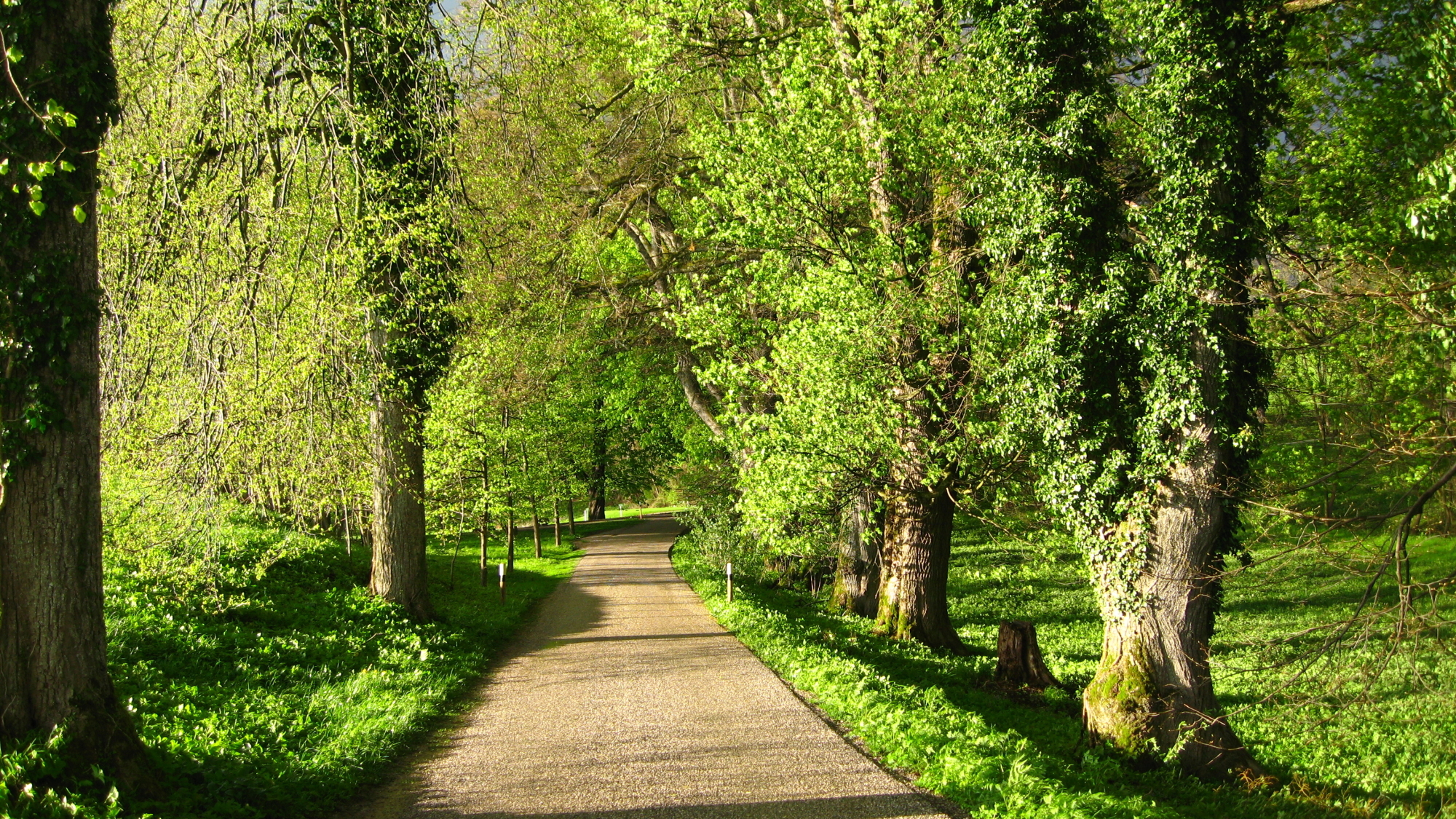 Idyllische Anfahrt zum Golf Club Hohenpähl
