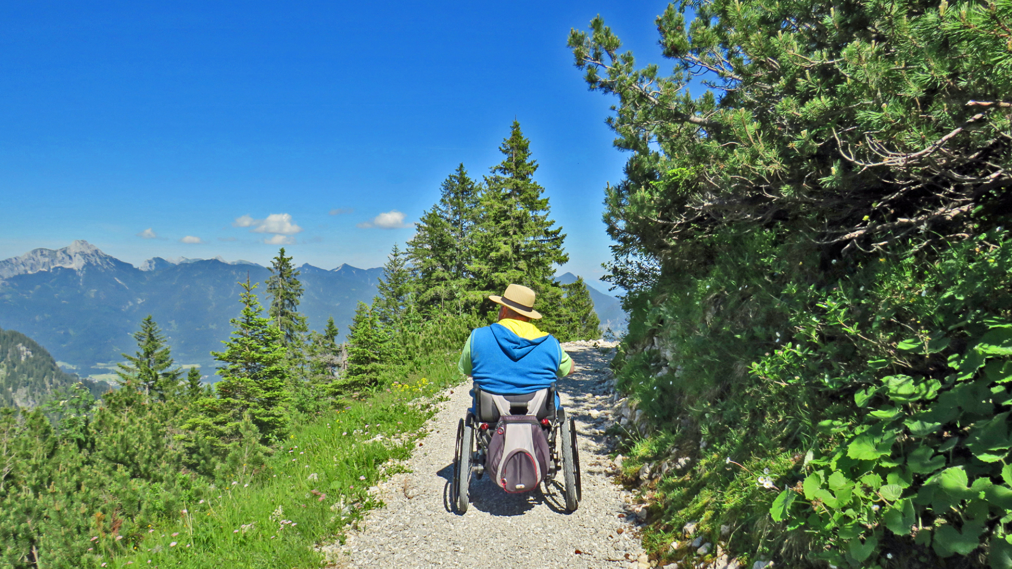 Auf dem Alpenrosenweg