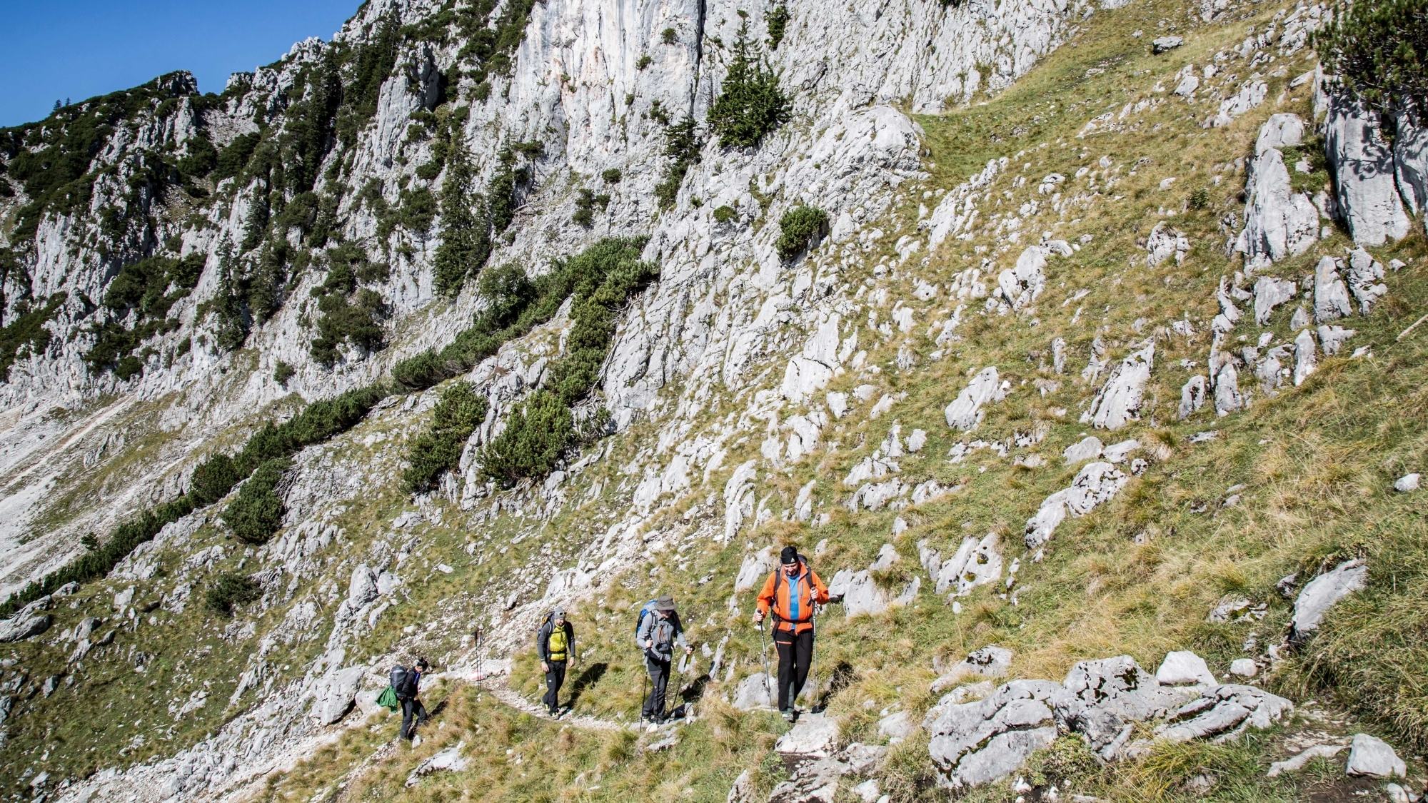 Für viele gehören Trekkingstöcke mit auf jede Tour