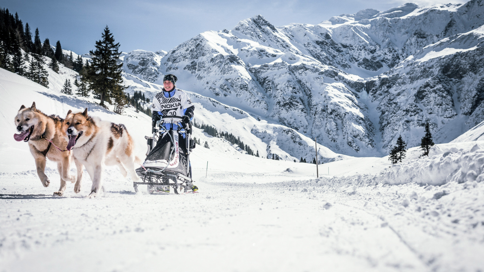 Hundeschlitten in Sportgastein