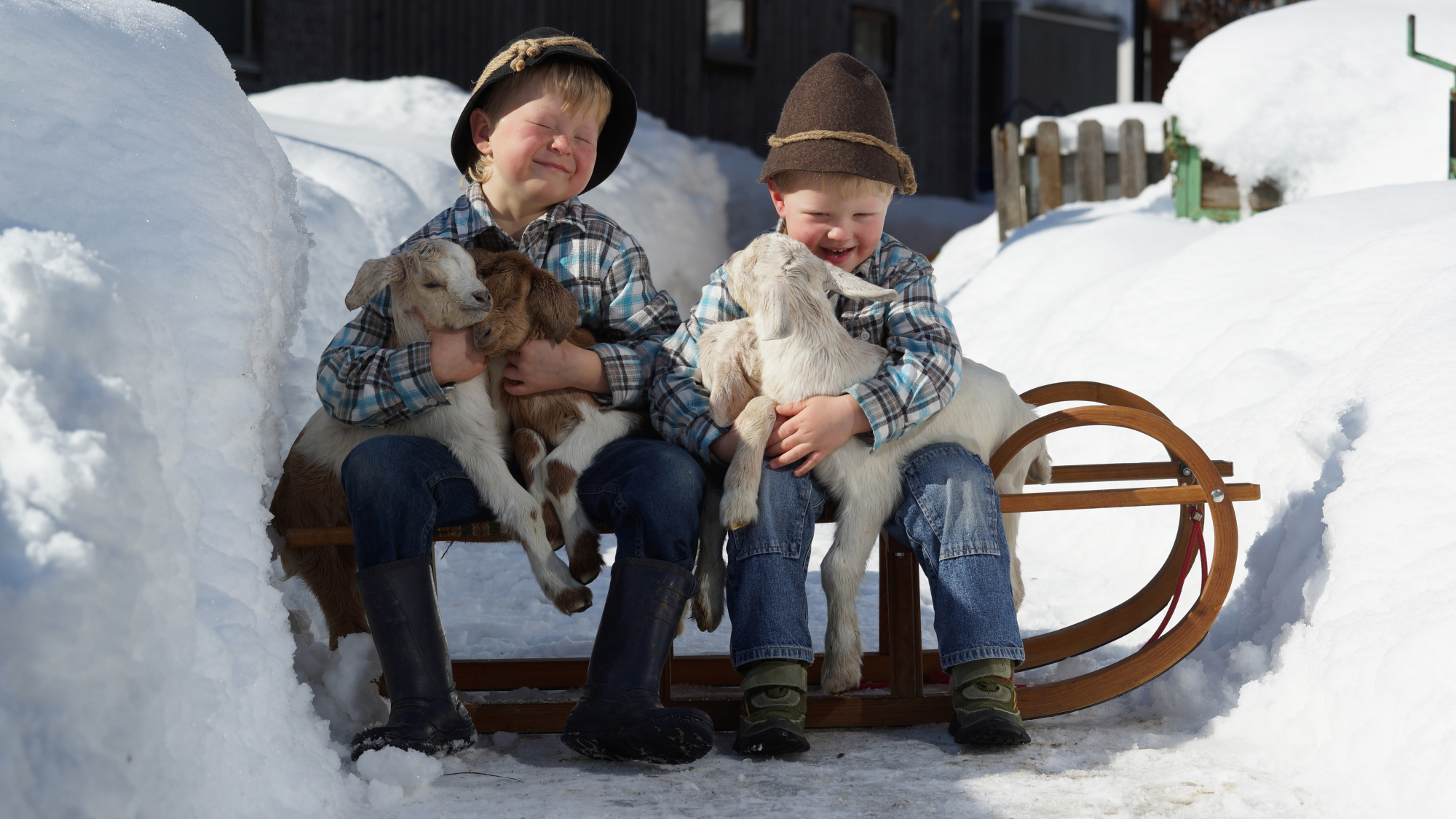 Kinder und Tiere, immer ein gutes Gespann