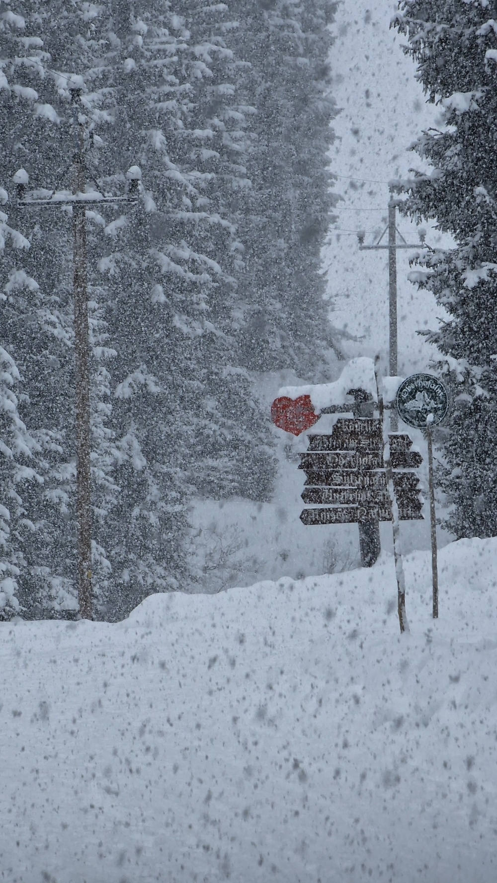 Neuschnee in Filzmoos (02.02.2023)