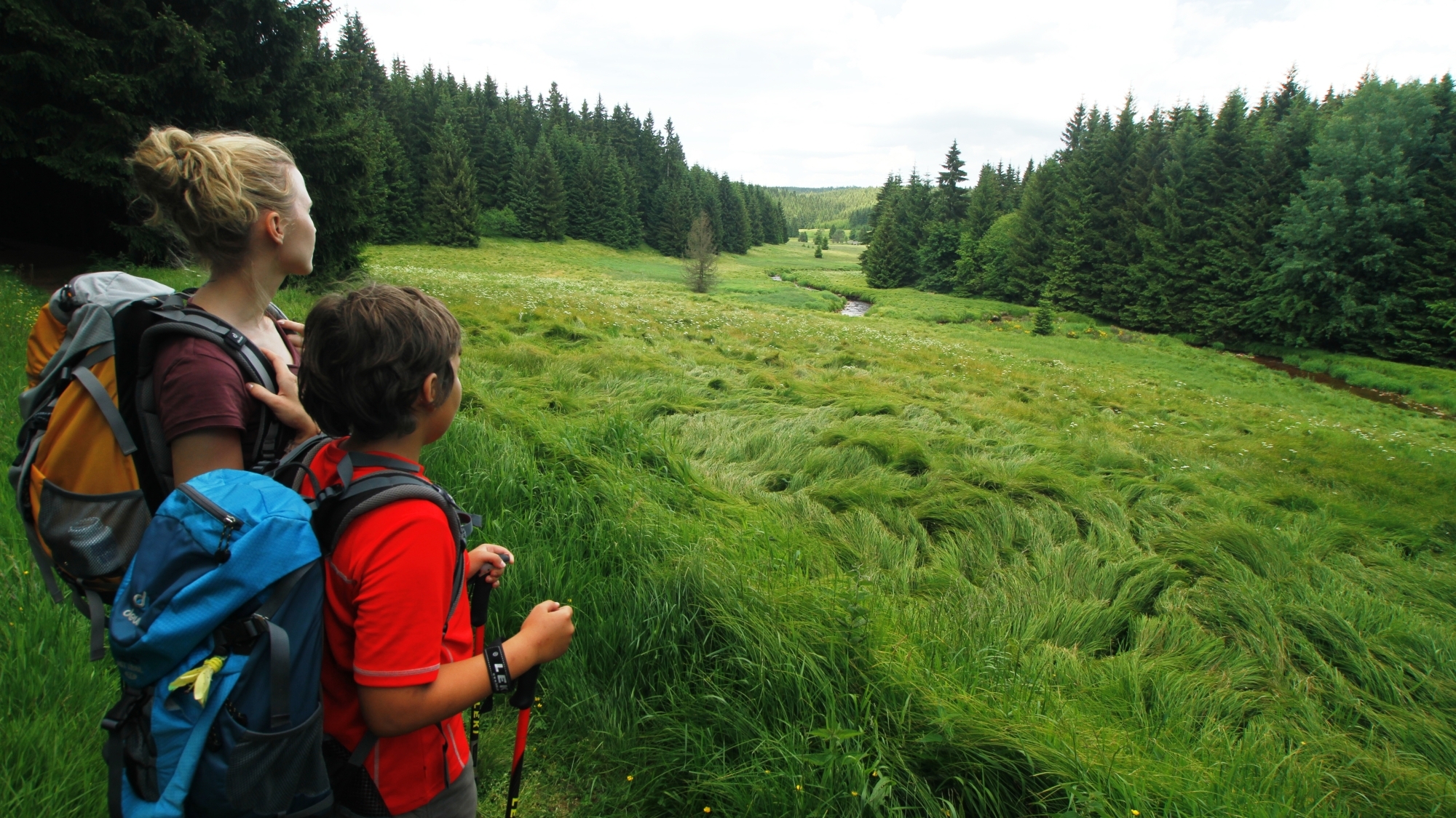 Mutter und Kind schauen während des Wanderns in eine Lichtung mit Bach auf dem Kammweg Erzgebirge-Vo