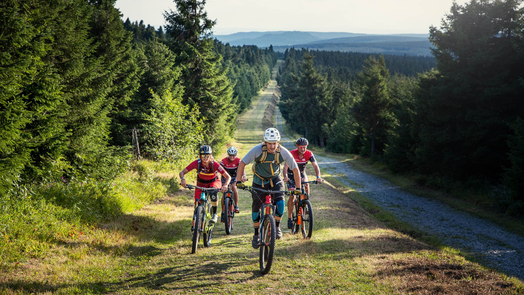Stoneman Miriquidi im Erzgebirge