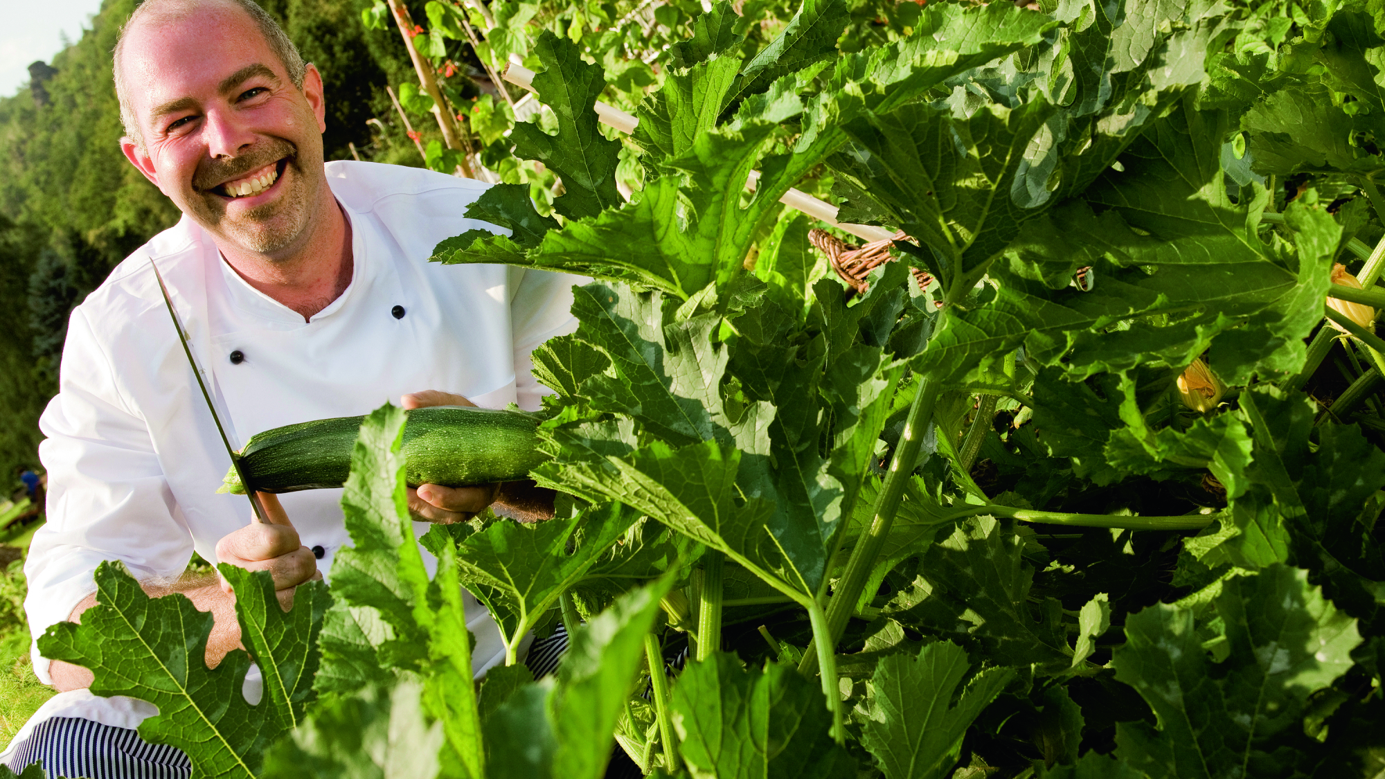 Der Gemüsegarten des Bio-Hotels Helvetia