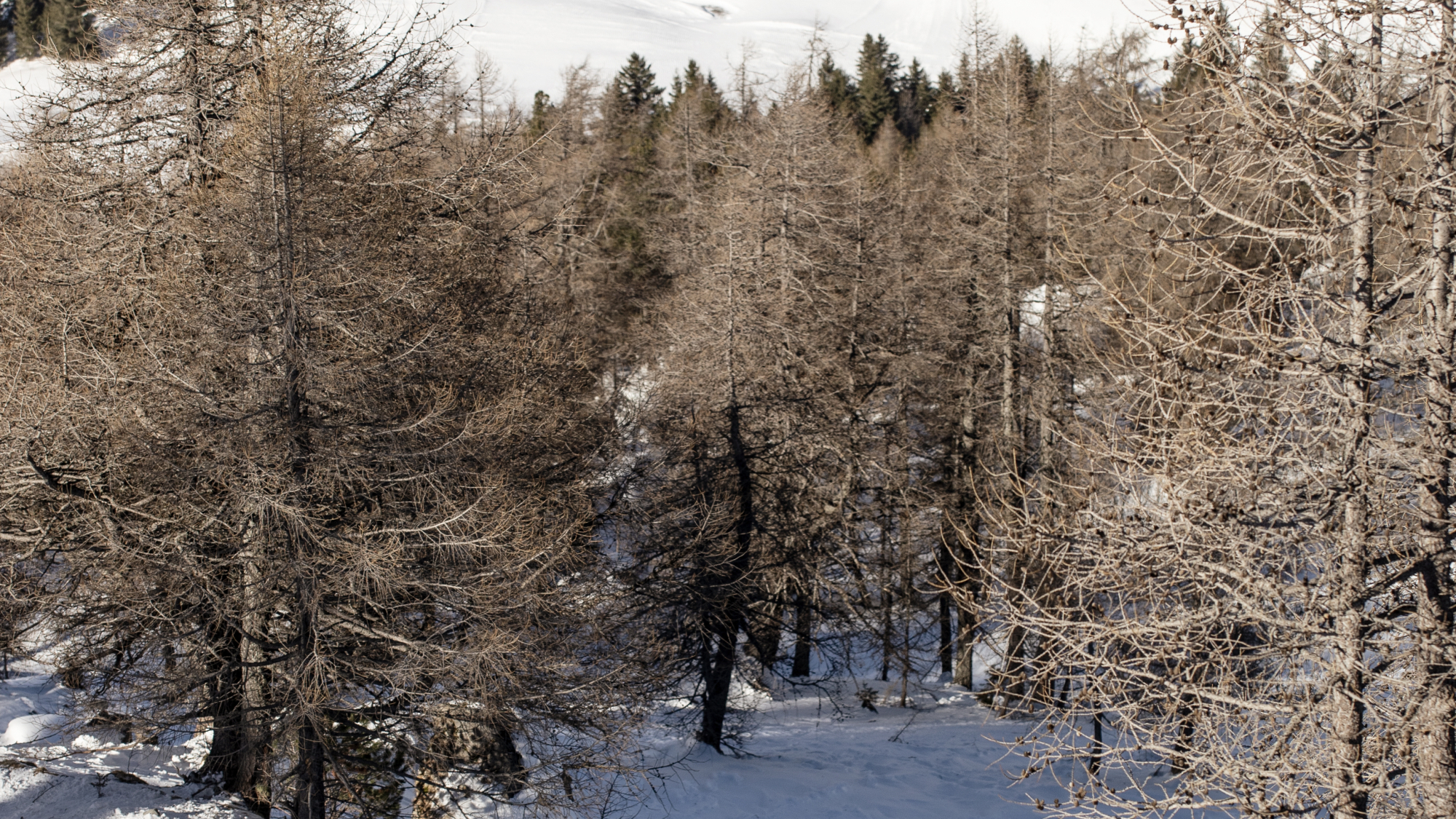 Blick auf die Talstation