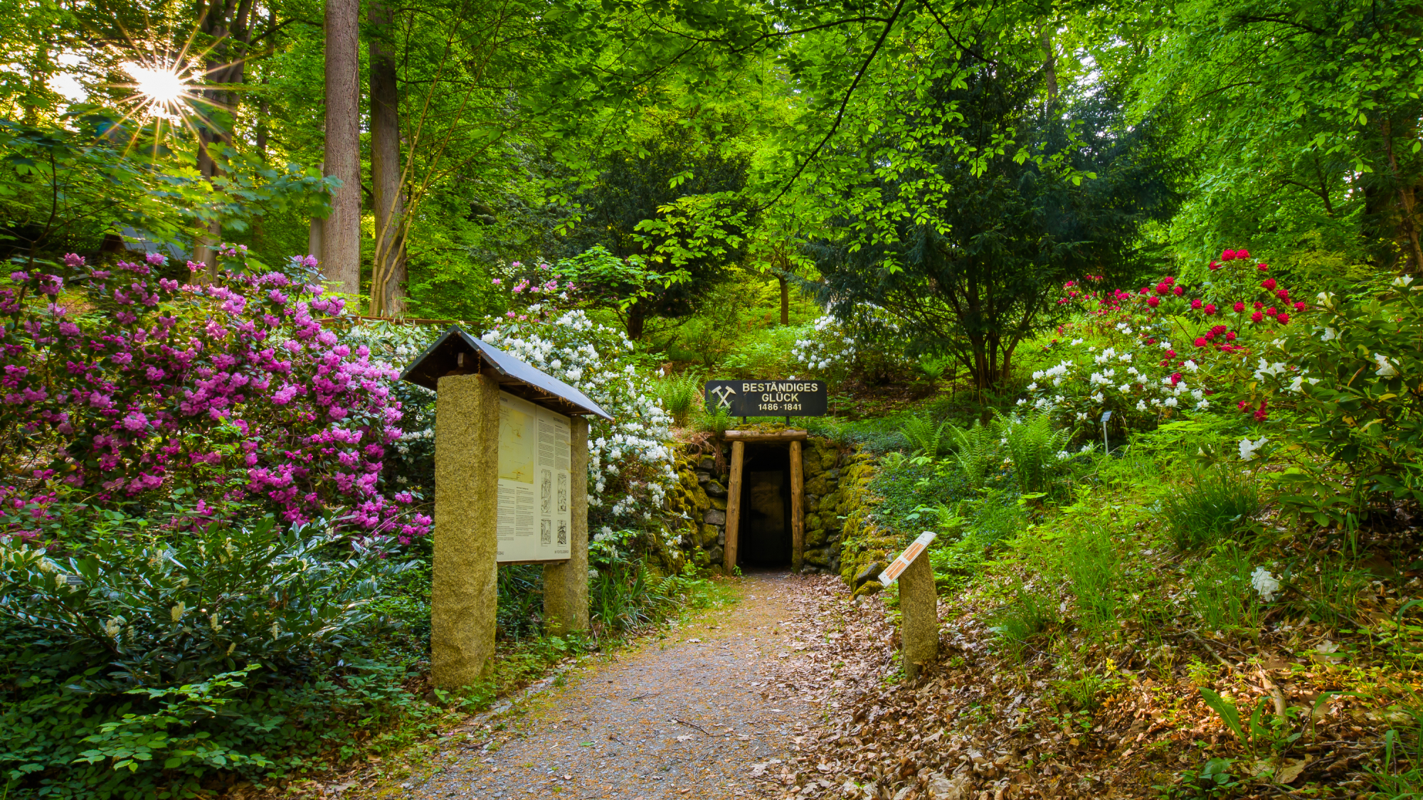 Dendrologischer Garten Bad Berneck