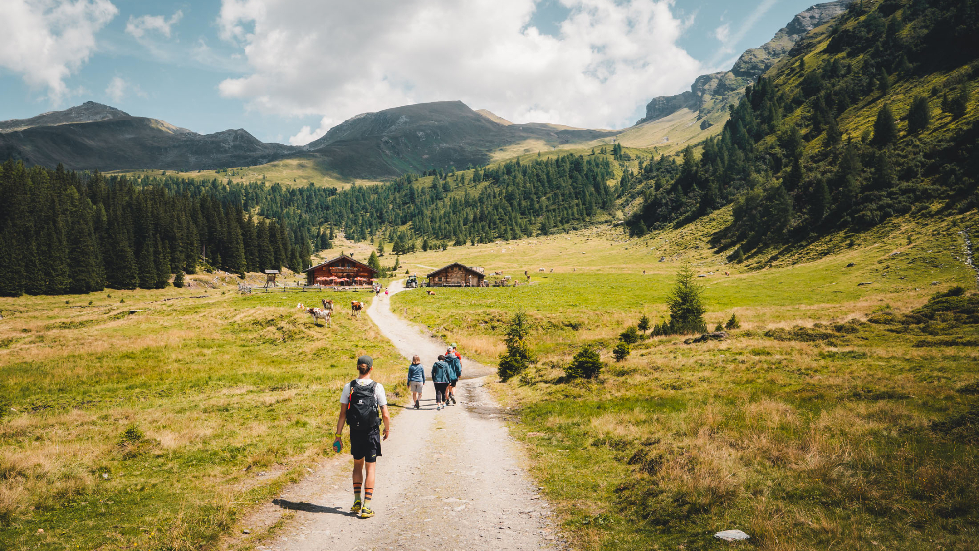 Auf dem Hohe Tauern Panorama Trail